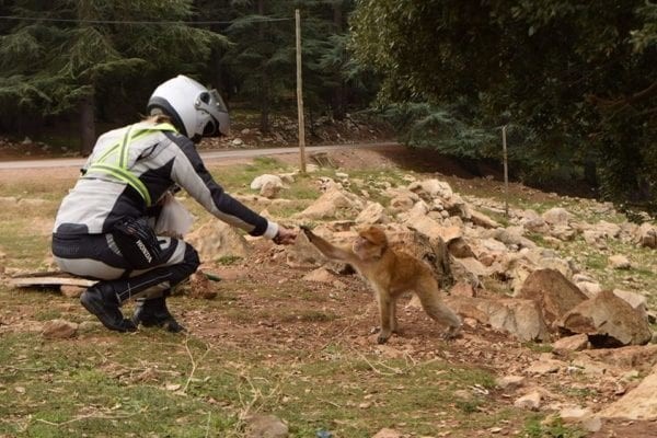 Moroccan motorcycle tours